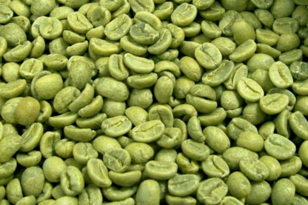 zielona-kawa-odchudzanie