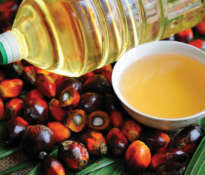 Cała prawda o oleju palmowym