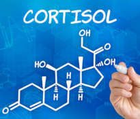 Kortyzol, stres i otyłość