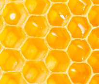 Zdrowy miód pszczeil