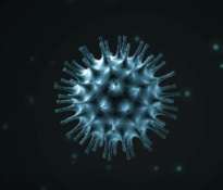 Jakie są objawy infekcji koronawirusami?